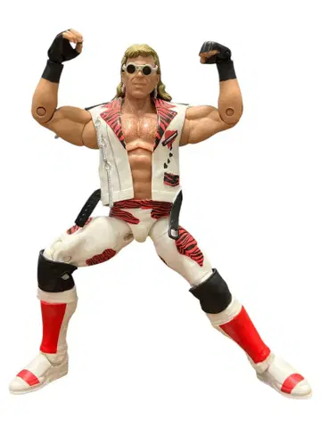 WWE 숀 마이클스 HBK 피규어 RINGSIDE 한정판