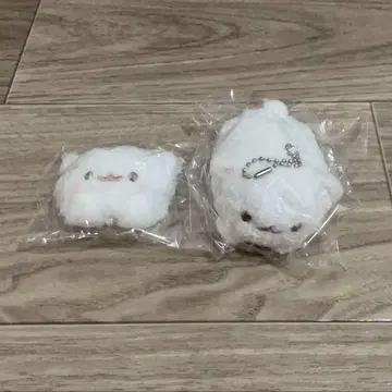 포메라니안 모치 시라타마 묶음 판매