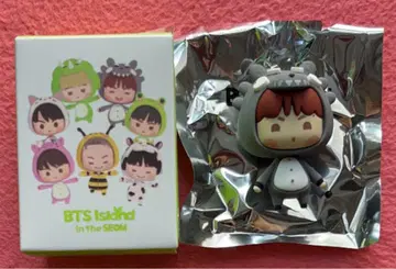 2025 ISLAND LUCKY DRAW 피규어 마그넷 J-HOPE