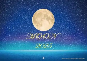 2025년 컬러 벽걸이 2단 달력 MOON 시리즈 5권 세트로!