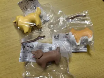 좋은 막대기를 겟한 개 가챠 3개 세트