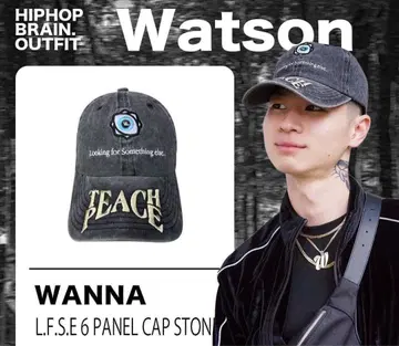 Wanna L.F.S.E 6 PANEL CAP STONE 그레이