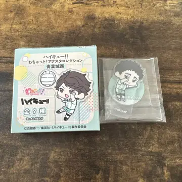 하이큐!! 와챠토! 아크릴 스탠드 컬렉션 마쓰카와 이치세이