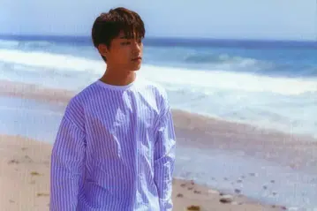 SEVENTEEN Al1 DINO 엽서