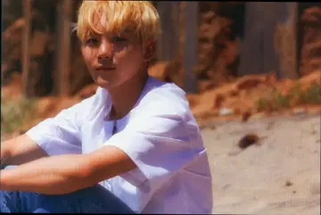 SEVENTEEN Al1 SEUNGKWAN 엽서