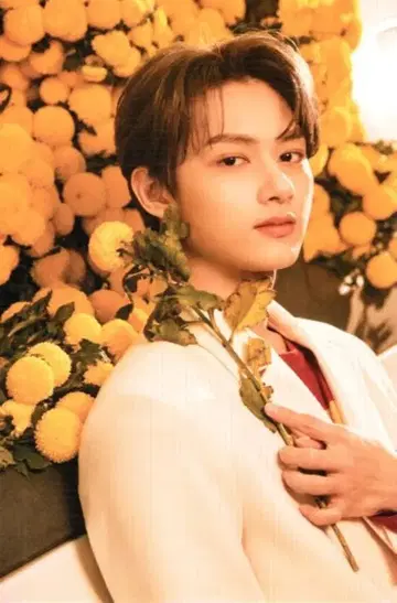 SEVENTEEN Your Choice JUN 엽서