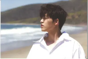 SEVENTEEN Al1 S.COUPS 엽서