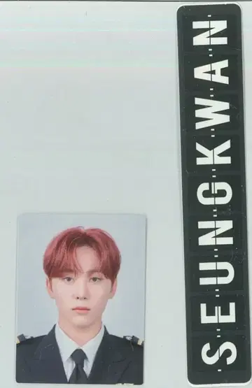 SEVENTEEN 2020CARAT KIT SEUNGKWAN 스티커