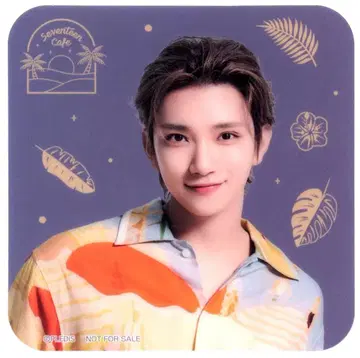 세븐틴 카페 2022 선셋 리조트 조슈아 코스터
