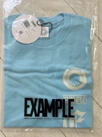 EXAMPLE STRAIGHT LOGO S/S TEE