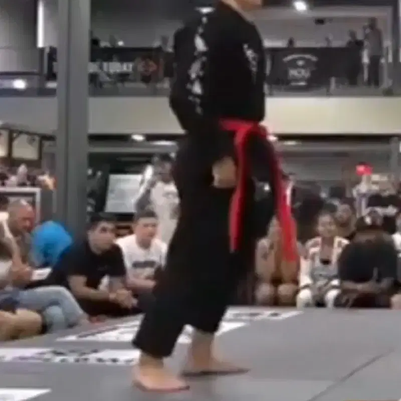 주짓수 도복 AOJ Art of jiujitsu 한정판 도복 A2F