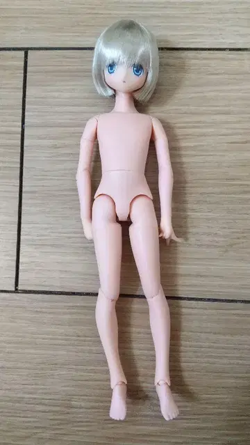 아존 에쿠스쿠토 소라네 퓨어니모 본체만