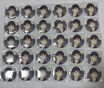 카게야마 토비오 여름의 전투 하이큐 캔뱃지 배구 사계절 30점