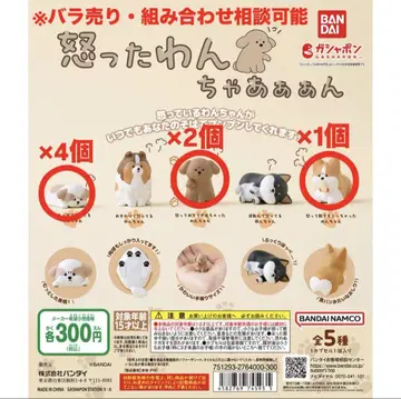 화난 강아지야아아아아아아아아아아아아아아아아아아아아