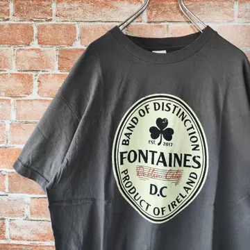 FANTINES D.C 2017 로고 프린트 티셔츠 그레이 L 사이즈