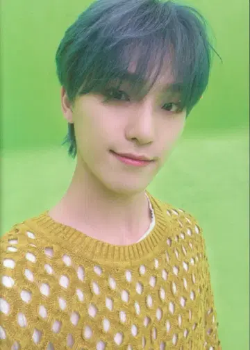 SEVENTEEN 아이노치카라 DINO 트레이딩 카드 크리스마스
