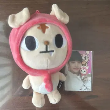 크래비티 쿠종모 란모