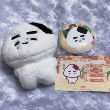 ENHYPEN 송훈 10cm 인형 봉제 인형
