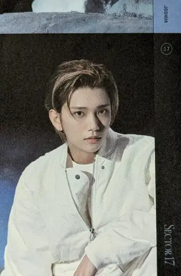 SEVENTEEN SECTOR 17 JOSHUA 스티커