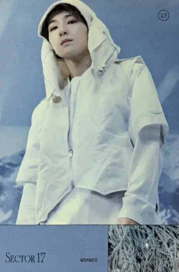 세븐틴 SECTOR 17 WONWOO 스티커
