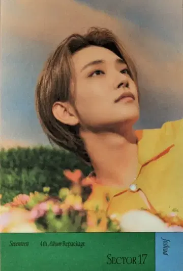 SEVENTEEN SECTOR 17 JOSHUA 스티커