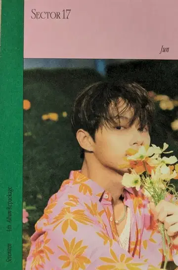 SEVENTEEN SECTOR 17 JUN 스티커