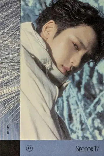 SEVENTEEN SECTOR 17 MINGYU 스티커