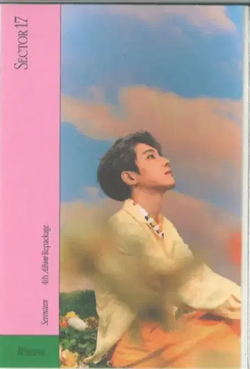 세븐틴 SECTOR 17 WONWOO 스티커