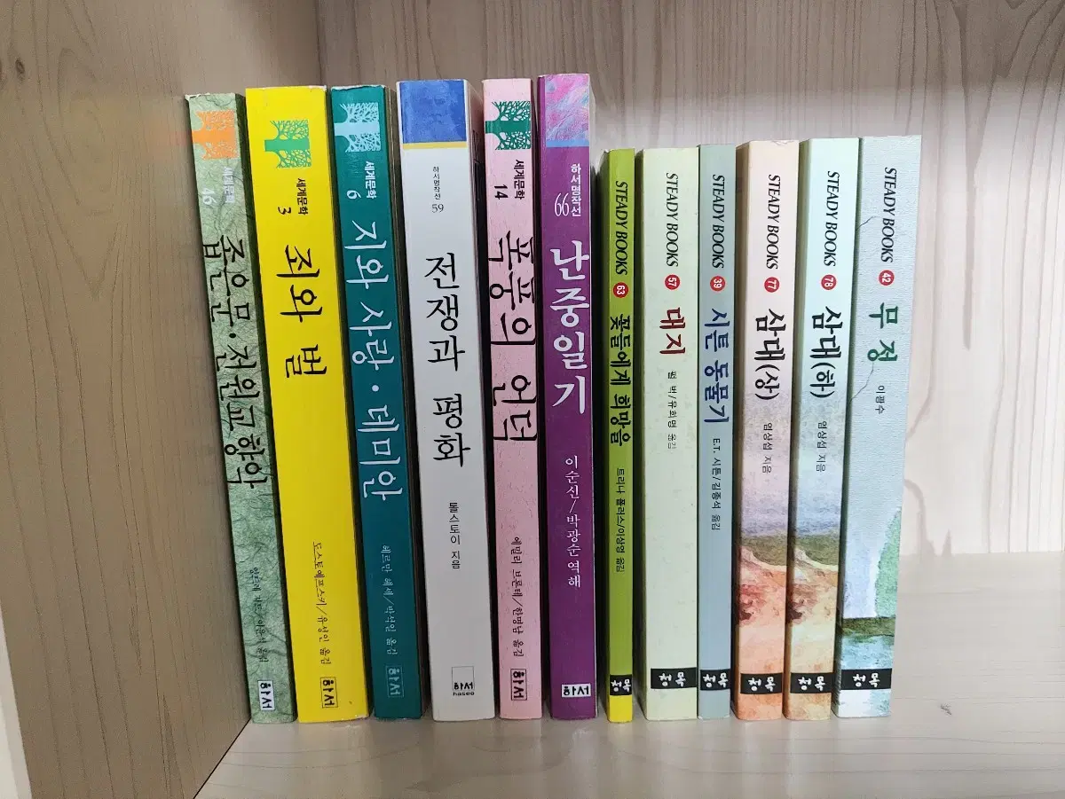 세계 문학, 국내 문학, 논술 청소년 도서