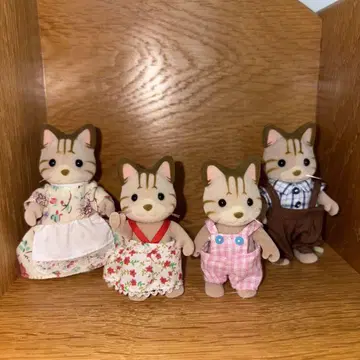 실바니아 시마네코(?) 오픈 핸드