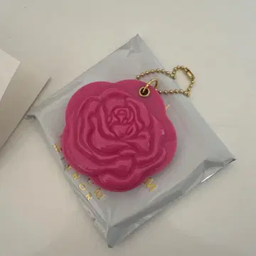이와타 타카노리 로즈 슬라이드 거울