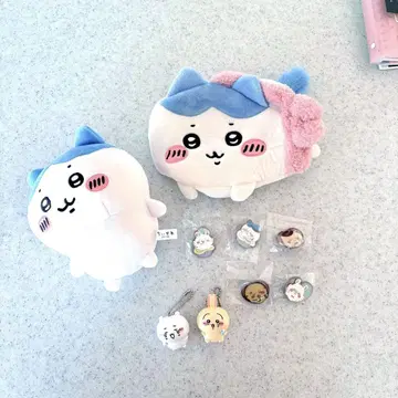 치이카와 세트
