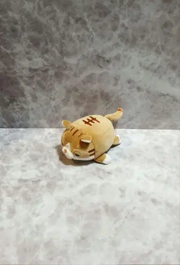 봉제 인형