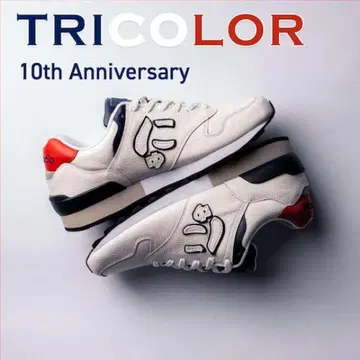 미개봉 새상품 미사용 뉴즈 TRICOLOR 10th 한정판 스니커즈
