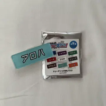 후지비지 명찰 배치 알로하