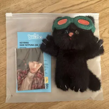 BOYNEXTDOOR 테산 한테펑 봉제 인형 키링 공식