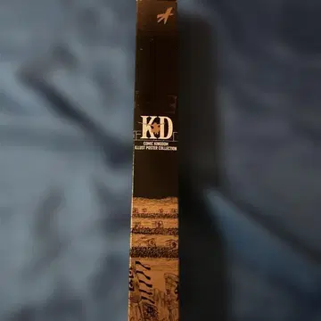킹덤 전 명장면 포스터 해수욕장