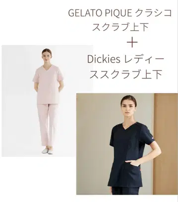 GELATO PIQUE 스크럽 디키즈 스크럽 세트
