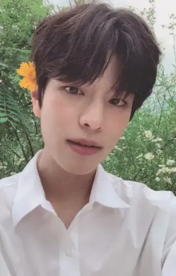 Stray kids NOEASY Seungmin 트레이딩 카드 꽃