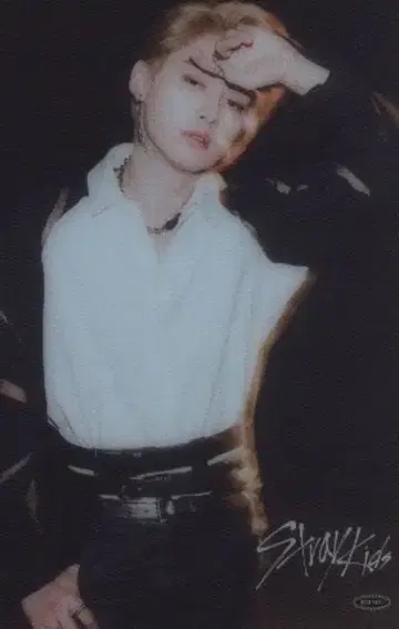 StrayKids SCARS LeeKnow 트레이딩 카드 클리어