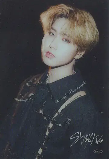 StrayKids SCARS HAN 트레이딩 카드 클리어