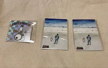 도쿠무스 채널 반짝반짝 스티커 스티커 도코사 실사
