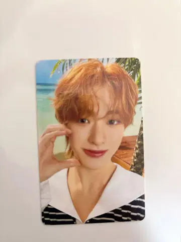 NEXZ 토모야 구매 혜택 트레이딩 카드