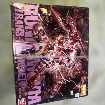 MG 1/100 건담 엑시아 (트랜지엄 모드) 글로스 인젝션