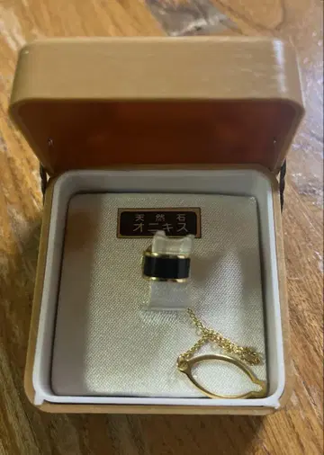 오닉스 넥타이핀
