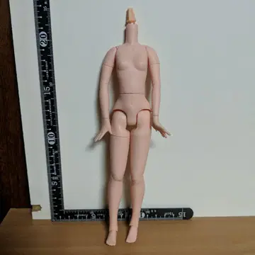 퓨어니모 플렉션 풀 가동 M 내추럴 중고품 브라이스 리카짱