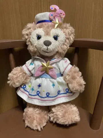 디즈니 20주년 타임 투 샤인 셰리 메이 포지 플래시