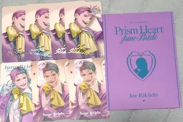 니지산지 준브라이드 조 리키치 세트