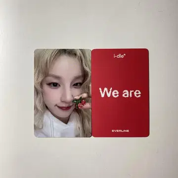 에버라인 우기 트레이딩 카드 idle