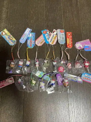 지역 키티 15종